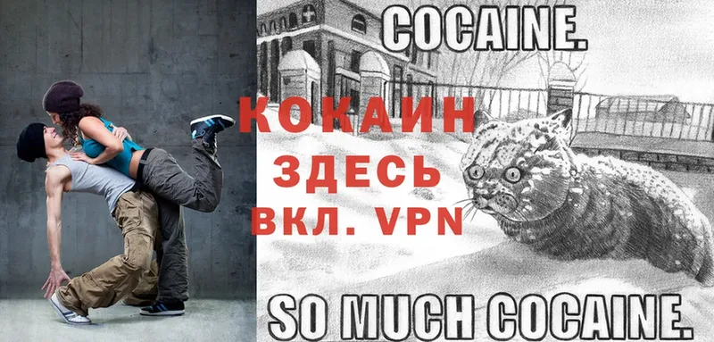 наркота  Бикин  COCAIN 98% 